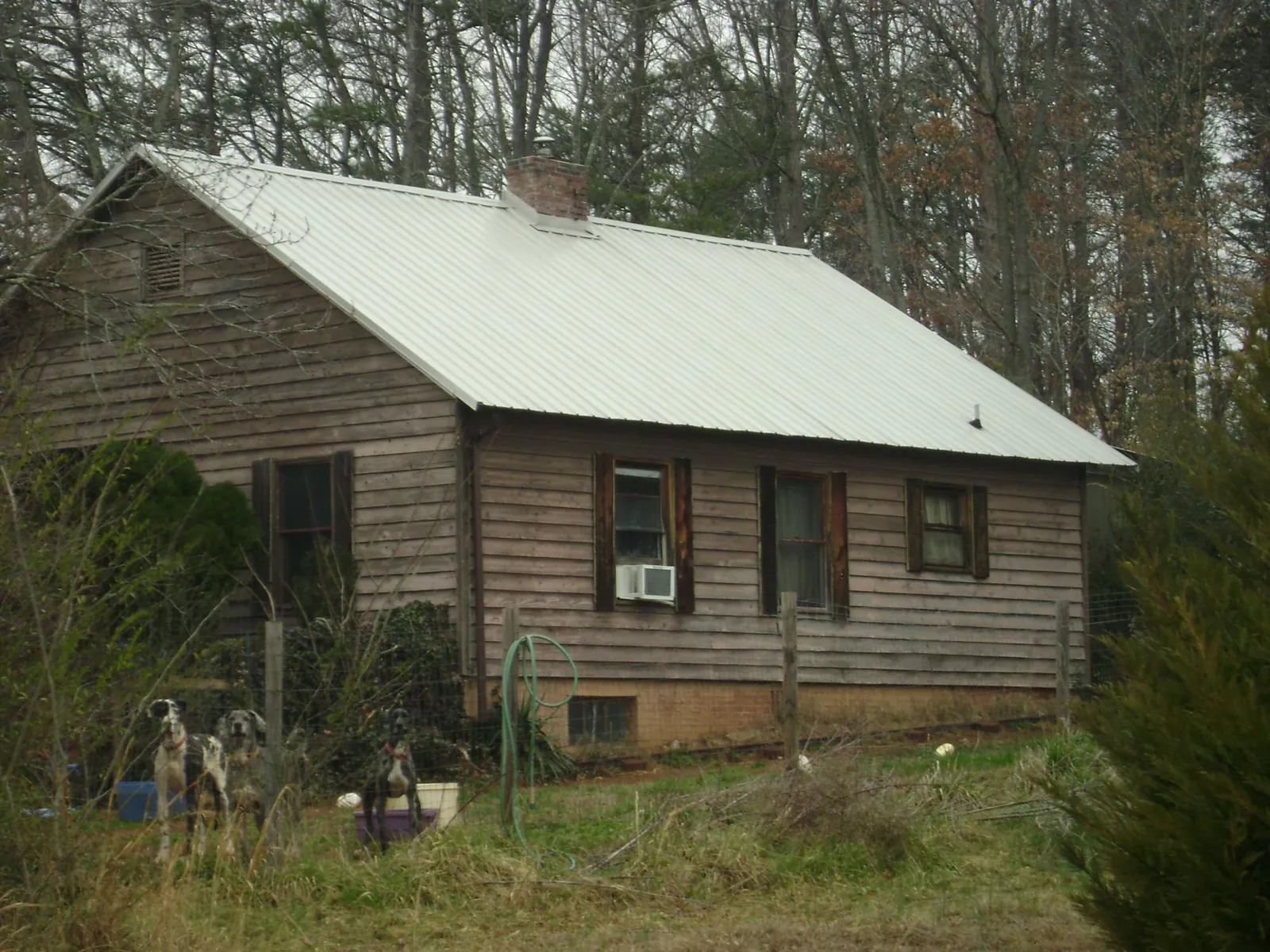 White metal roof on an old wood sided farmhouse, from a Asphalt Shingle Roof Repair job in Jordan Valley
